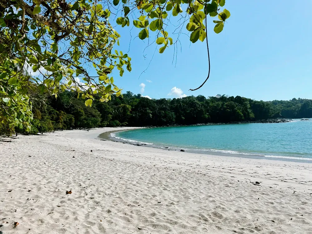 Le Parc National Manuel Antonio une Merveille Naturelle du Costa Rica