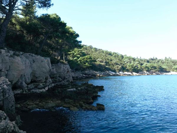 Découvrez l'île de Otok Lokrum