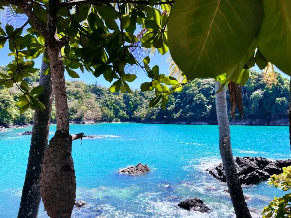 Manuel Antonio, le Joyau Naturel de la Costa Rica