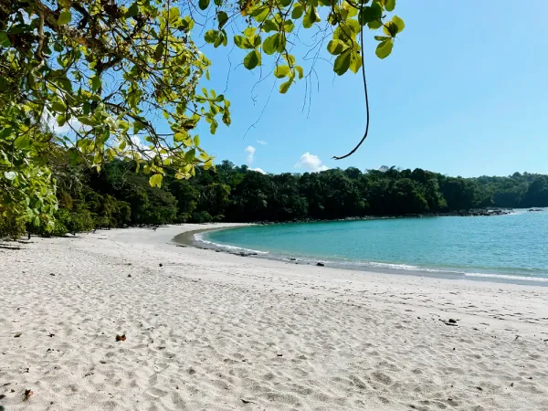 Le Parc National Manuel Antonio: une Merveille Naturelle du Costa Rica